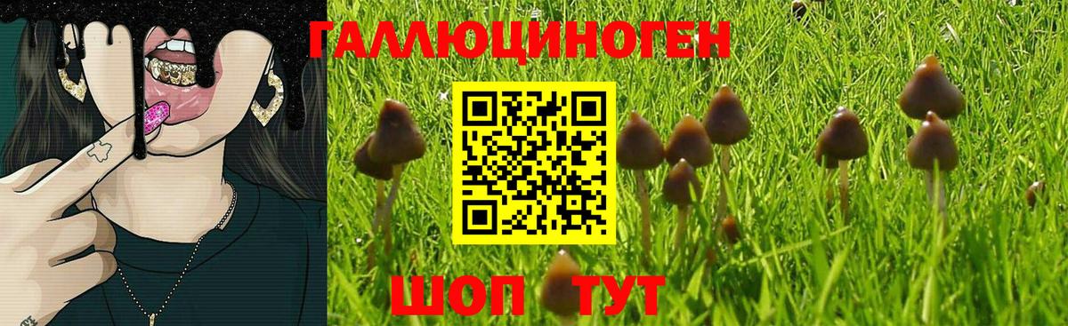 купить  сайты  Галлюциногенные грибы прущие грибы  Галлюциногенные грибы мухоморы  Вход с VPN  Воткинск 